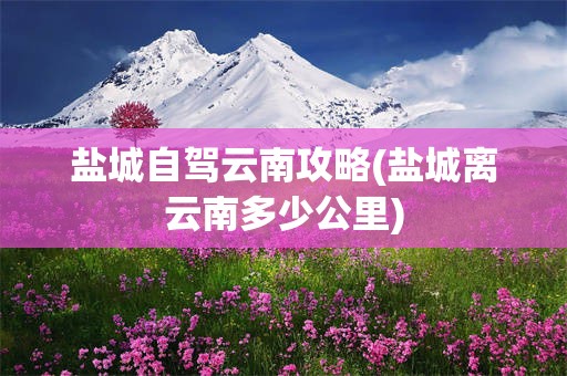盐城自驾云南攻略(盐城离云南多少公里)