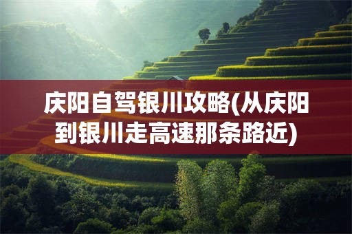 庆阳自驾银川攻略(从庆阳到银川走高速那条路近)