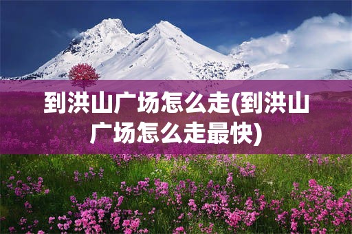 到洪山广场怎么走(到洪山广场怎么走最快)