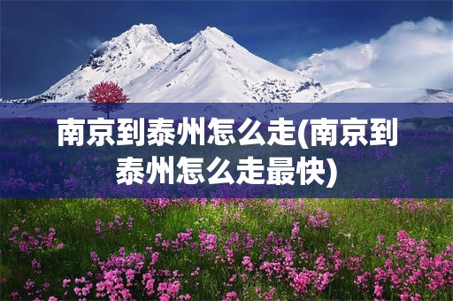 南京到泰州怎么走(南京到泰州怎么走最快)