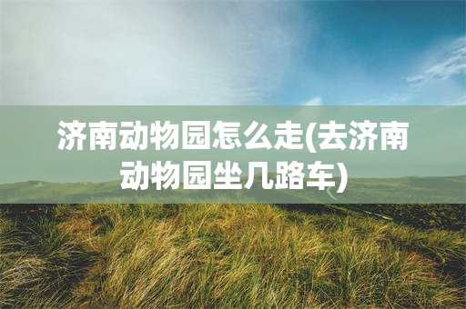 济南动物园怎么走(去济南动物园坐几路车)
