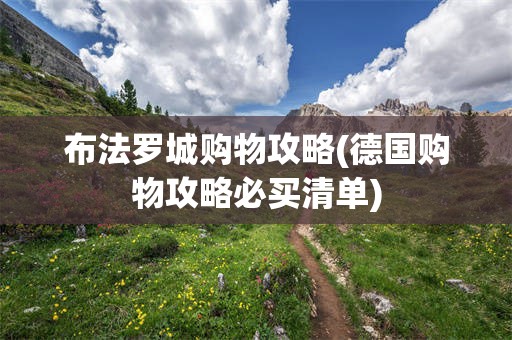 布法罗城购物攻略(德国购物攻略必买清单)
