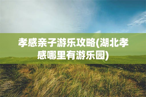 孝感亲子游乐攻略(湖北孝感哪里有游乐园)