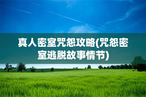 真人密室咒怨攻略(咒怨密室逃脱故事情节)