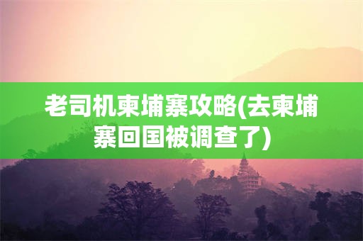 老司机柬埔寨攻略(去柬埔寨回国被调查了)