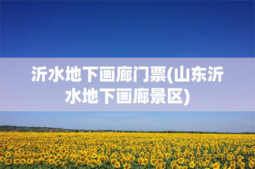 沂水地下画廊门票(山东沂水地下画廊景区)