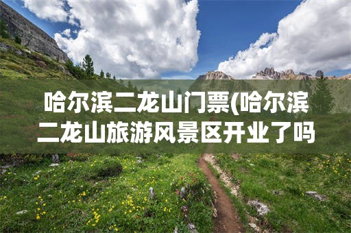 哈尔滨二龙山门票(哈尔滨二龙山旅游风景区开业了吗)