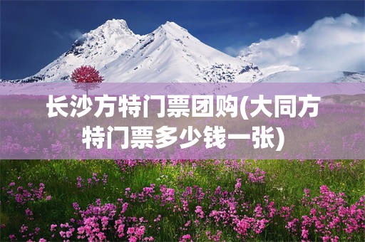 长沙方特门票团购(大同方特门票多少钱一张)