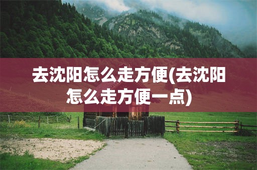 去沈阳怎么走方便(去沈阳怎么走方便一点)