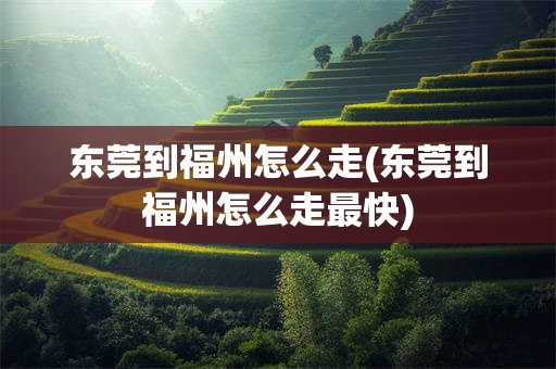 东莞到福州怎么走(东莞到福州怎么走最快)