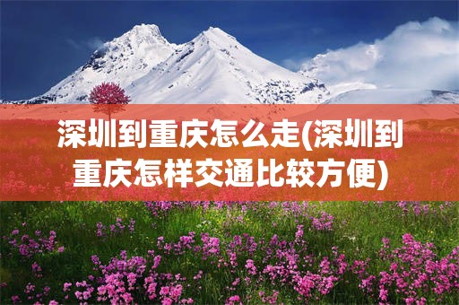 深圳到重庆怎么走(深圳到重庆怎样交通比较方便)