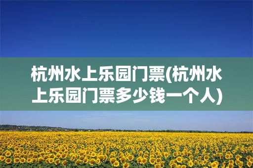 杭州水上乐园门票(杭州水上乐园门票多少钱一个人)