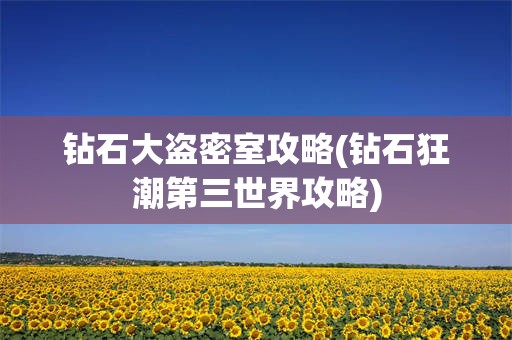 钻石大盗密室攻略(钻石狂潮第三世界攻略)