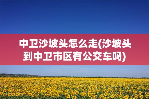 中卫沙坡头怎么走(沙坡头到中卫市区有公交车吗)