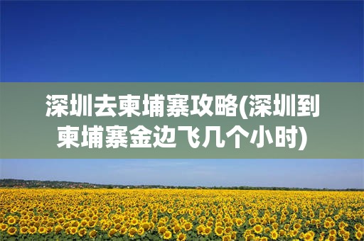 深圳去柬埔寨攻略(深圳到柬埔寨金边飞几个小时)