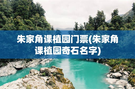朱家角课植园门票(朱家角课植园奇石名字)