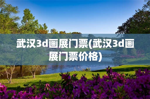 武汉3d画展门票(武汉3d画展门票价格)