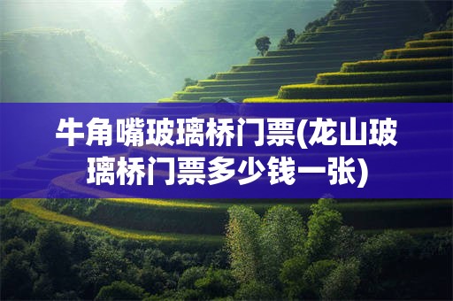 牛角嘴玻璃桥门票(龙山玻璃桥门票多少钱一张)