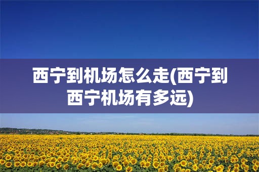西宁到机场怎么走(西宁到西宁机场有多远)