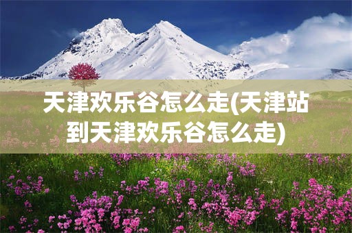 天津欢乐谷怎么走(天津站到天津欢乐谷怎么走)