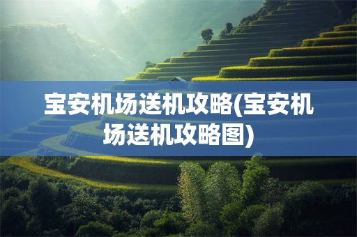 宝安机场送机攻略(宝安机场送机攻略图)