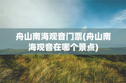 舟山南海观音门票(舟山南海观音在哪个景点)