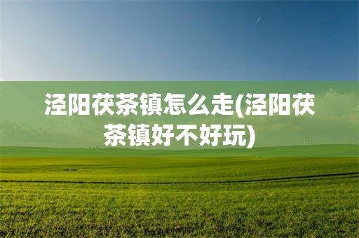泾阳茯茶镇怎么走(泾阳茯茶镇好不好玩)