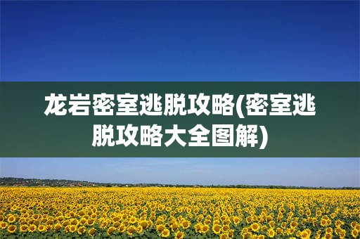 龙岩密室逃脱攻略(密室逃脱攻略大全图解)