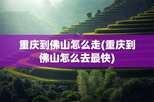 重庆到佛山怎么走(重庆到佛山怎么去最快)