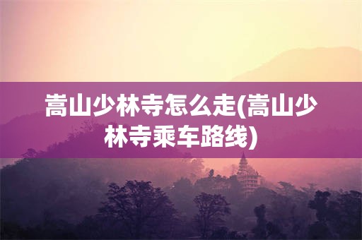 嵩山少林寺怎么走(嵩山少林寺乘车路线)
