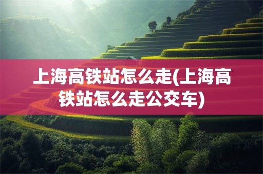 上海高铁站怎么走(上海高铁站怎么走公交车)