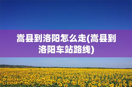 嵩县到洛阳怎么走(嵩县到洛阳车站路线)