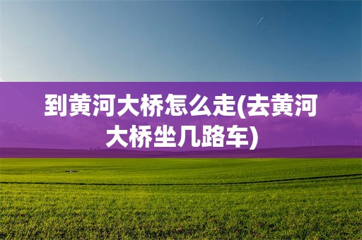 到黄河大桥怎么走(去黄河大桥坐几路车)