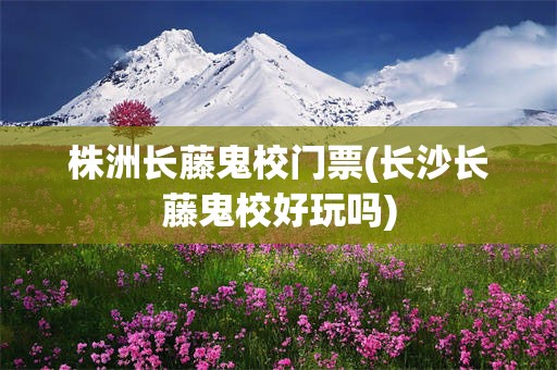 株洲长藤鬼校门票(长沙长藤鬼校好玩吗)
