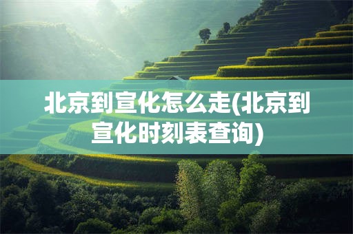 北京到宣化怎么走(北京到宣化时刻表查询)