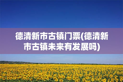 德清新市古镇门票(德清新市古镇未来有发展吗)