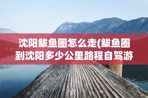 沈阳鲅鱼圈怎么走(鲅鱼圈到沈阳多少公里路程自驾游)