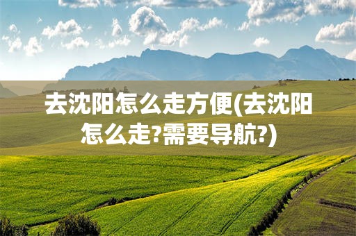 去沈阳怎么走方便(去沈阳怎么走?需要导航?)