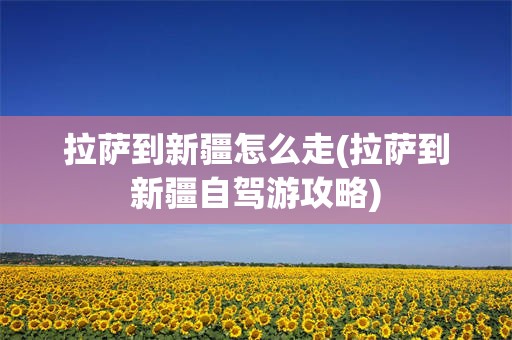 拉萨到新疆怎么走(拉萨到新疆自驾游攻略)