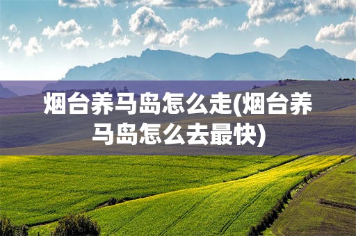 烟台养马岛怎么走(烟台养马岛怎么去最快)