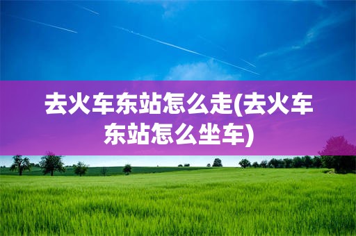 去火车东站怎么走(去火车东站怎么坐车)