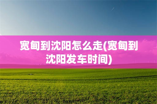宽甸到沈阳怎么走(宽甸到沈阳发车时间)