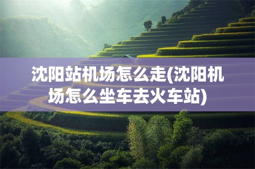 沈阳站机场怎么走(沈阳机场怎么坐车去火车站)