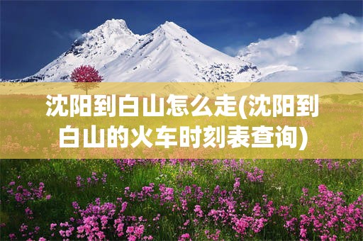 沈阳到白山怎么走(沈阳到白山的火车时刻表查询)