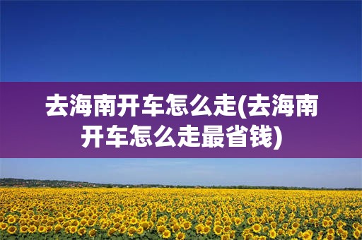 去海南开车怎么走(去海南开车怎么走最省钱)
