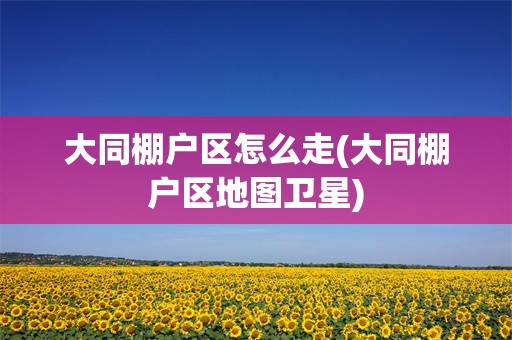 大同棚户区怎么走(大同棚户区地图卫星)