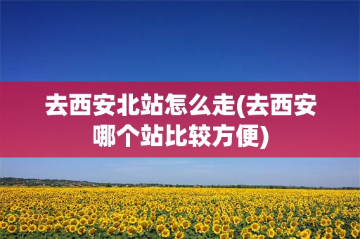 去西安北站怎么走(去西安哪个站比较方便)