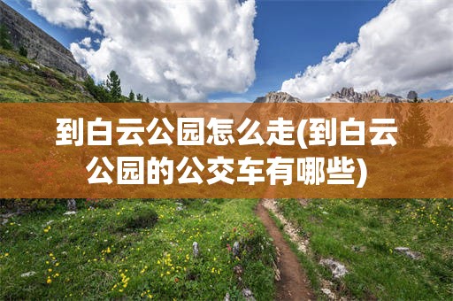 到白云公园怎么走(到白云公园的公交车有哪些)