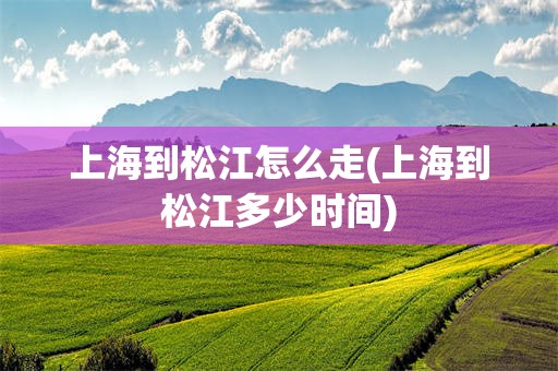 上海到松江怎么走(上海到松江多少时间)