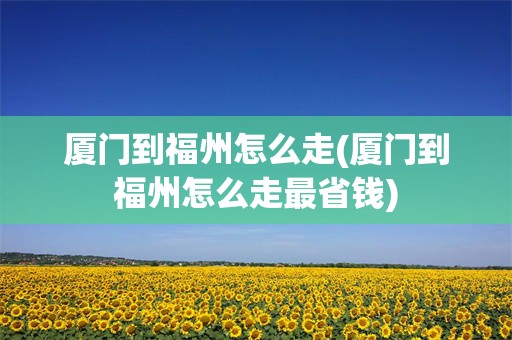 厦门到福州怎么走(厦门到福州怎么走最省钱)